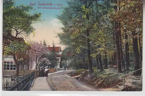 70699 Ak Bad Suderode am Harz am Schwedderholz um 1910