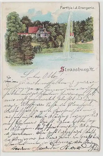 68545 Ak Lithographie Strassburg i.E. Partie in der Orangerie 1900