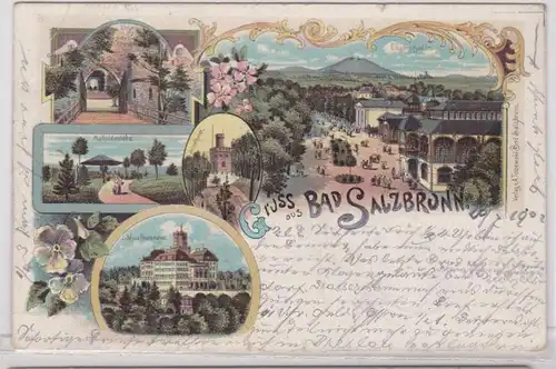 91924 AK Gruss de Bad Salzbrunn - Mathildenhöhe & Schloss Fürstenstein 1902