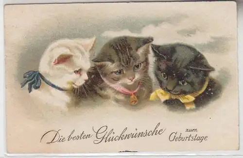 46523 Félicitations Ak 3 enfants chats avec colliers 1931