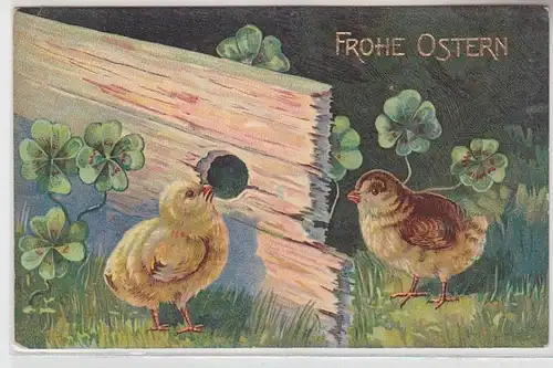 68817 Frohe Ostern Ak 2 Kücken schauen durch Holzbrett Glücksklee 1908
