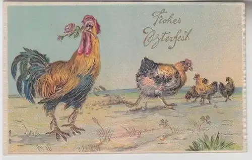 12656 Joyeux Pâques Plage Ak Hahn avec 4 poulets 1911