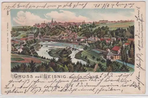16618 Ak Gruss aus Leisnig, Totalansicht 1902