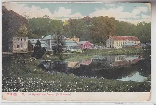 57707 Ak Münster à W. dans le jardin botanique (parc du château) vers 1910