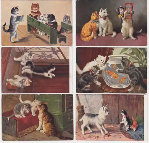 62007/6 hübsche Ak mit Katzen Motiven um 1910