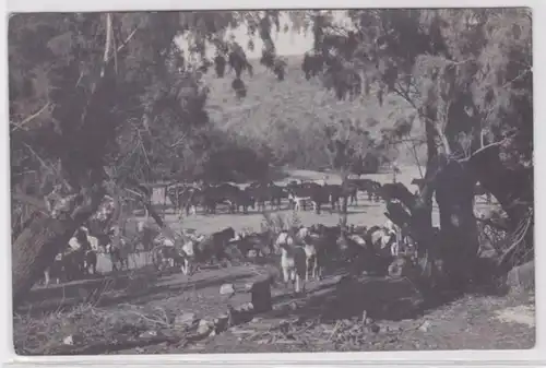 67466 Foto Ak Farm bei Karibib Deutsch Süd-West-Afrika Namibia um 1910