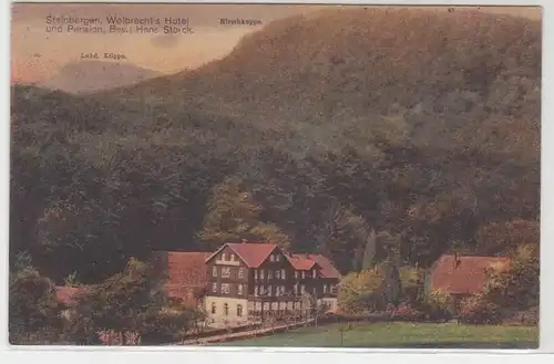 68826 Ak Steinbergen Wolbrechts Hotel und Pension um 1930