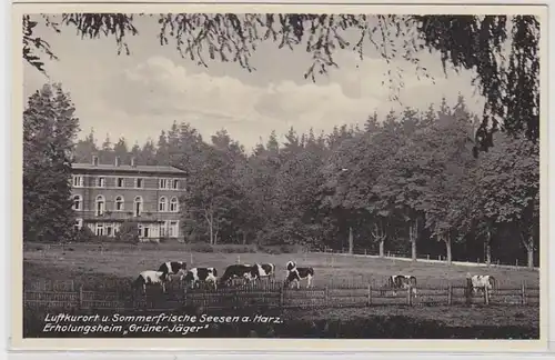 70320 Ak Seesen am Harz Erholungsheim 'Grüner Jäger' um 1930