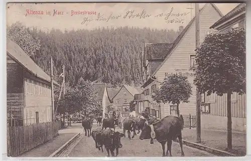 70646 Ak Altenau im Harz Breitestrasse mit Kühen 1907