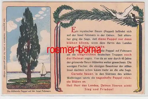 70926 Patriotika Ak Le peuplier florissant sur l'île de Fehmarn vers 1915