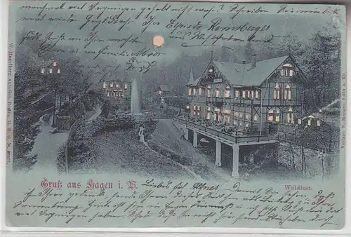 71276 Halt gegens Licht Ak Gruß aus Hagen in W. Waldlust 1899