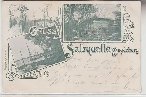 71302 Ak Gruss von der Salzquelle Magdeburg, Mehransicht, 1899
