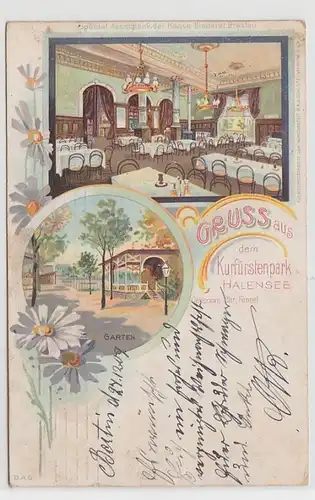 71764 Ak Gruss du parc de Halensee, Multivisual, 1909