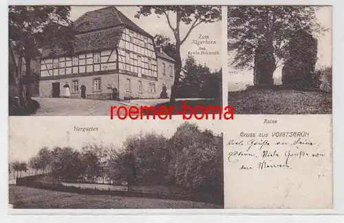 71995 Mehrbild Ak Gruss aus Voigtsgrün 'Zum Jägerhorn', Ruine, Tiergarten 1917
