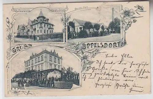 72266 Mehrbild Ak Gruß aus Oppelsdorf Kurhaus, Carola Bad, Villa Waldesruhe 1902