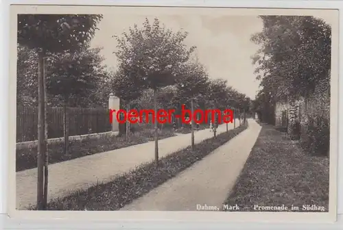 72936 Ak Dahme (Mark) Promenade dans le sud du hag 1929