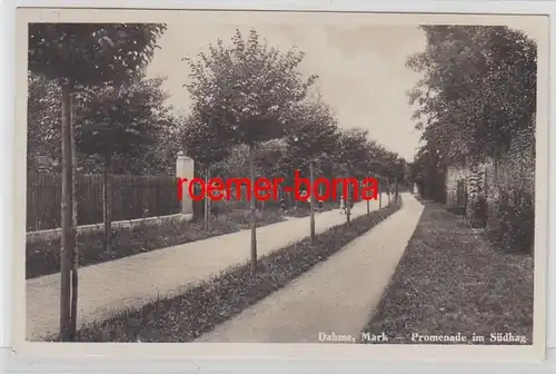 72936 Ak Dahme (Mark) Promenade im Südhag 1929
