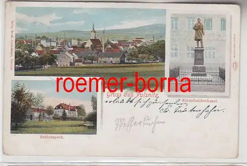 74012 Mehrbild Ak Gruss aus Pulsnitz Schlosspark Rietscheldenkmal Totale 1903