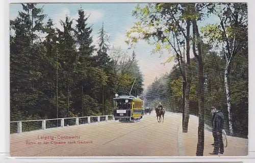 80718 AK Leipzig-Connewitz - Partie an der Chaussee nach Gautzsch um 1920