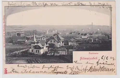 85881 Ak Schwarzenbek Panorama 1903