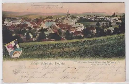 89077 Ak Pegnitz fränkische Schweiz Totalansicht 1904