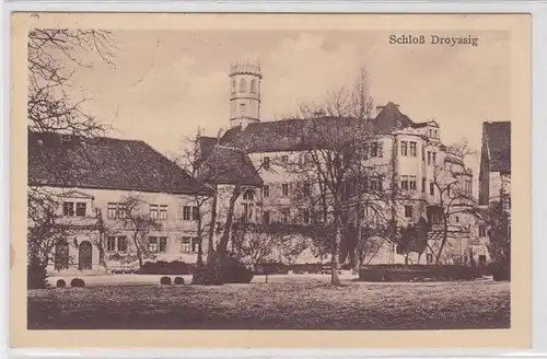 89260 AK Schloß Droyssig - Park und Totalansicht 1910