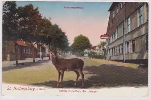 95067 Ak St. Andreasberg im Harz Schützenstraße - Zahme Hirschkuh die 'Mieke'
