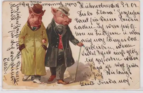 95776 Artiste Ak humanisé animaux, porcs en vêtements de premier choix 1904