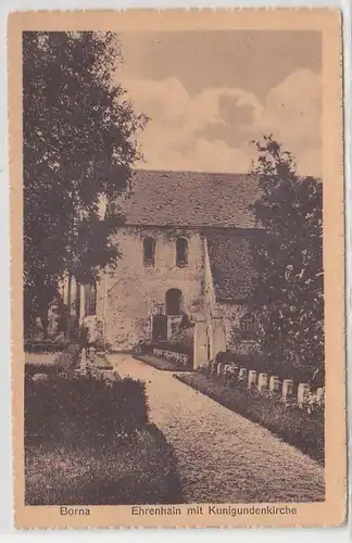 33736 Ak Borna Ehrenhain mit Kunigundenkirche 1933