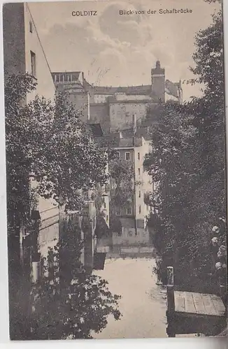 68986 Ak Colditz Blick von der Schafbrücke 1918