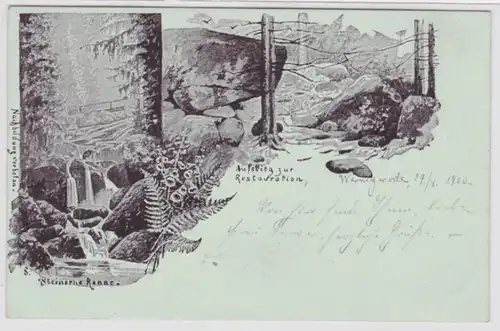 95494 AK Wernigerode steinerne Renne, Aufstieg zur Restauration 1900