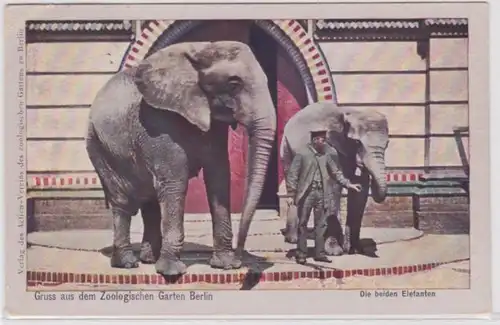 94797 Ak Gruss aus dem Zoologischen Garten Berlin - Die beiden Elefanten 1912
