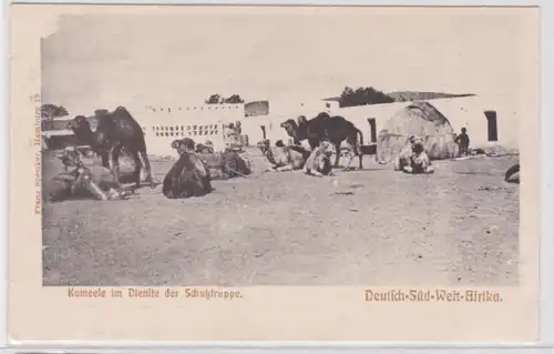 42989 AK Kamele im Dienste der Schutztruppe Deutsch Süd West Afrika um 1900