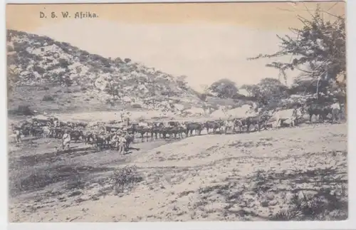 42101 AK Rinder überqueren Wasserstelle Deutsch Süd West Afrika