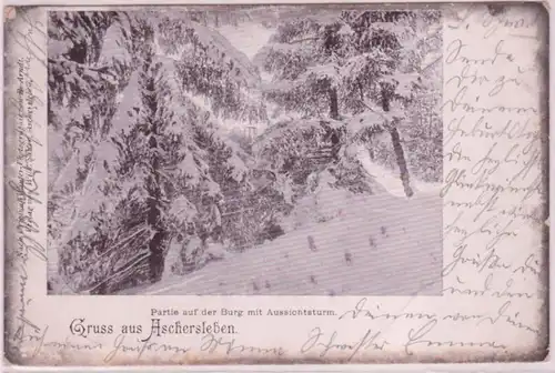 31414 Ak Gruss aus Aschersleben - Partie auf der Burg mit Aussichtsturm 1906