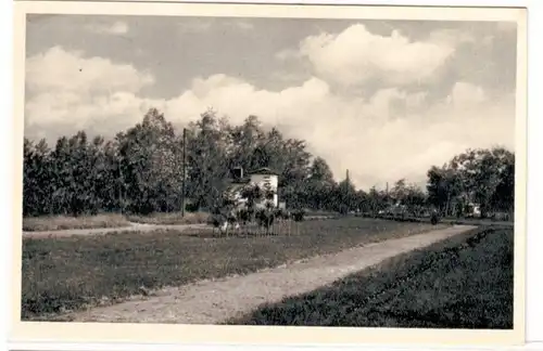 67131 Ak Schrimm (Srem) Wartheland Stadtpark um 1930