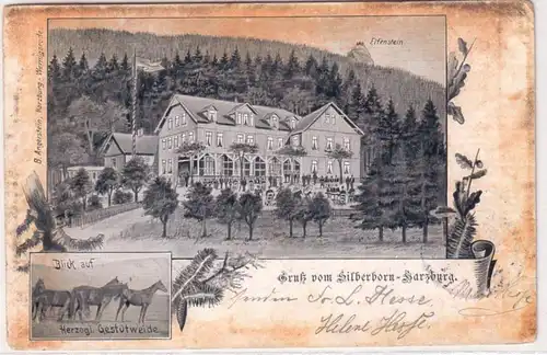 66718 Mehrbild Ak Gruß vom Silberborn Harzburg Elfenstein 1899