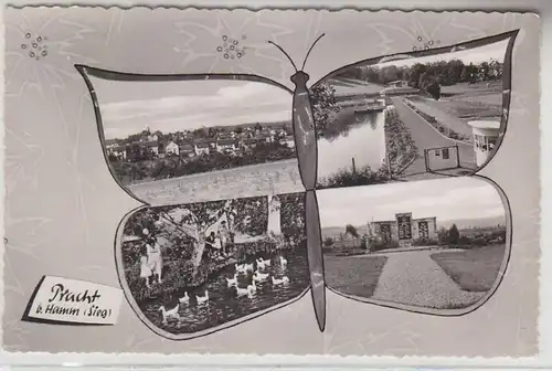 66688 Papillons Ak splendeur à Hamm (Victoire) vers 1960