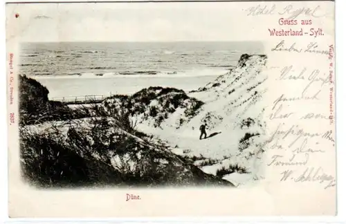 66617 Ak Salutation de Westerland Sylt Dune 1898