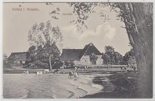 66449 Ak Einfeld in Holstein Dorfidyll vers 1912