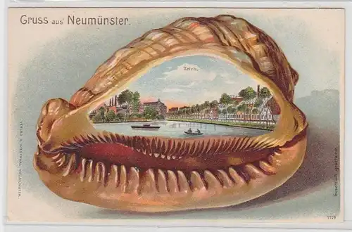 66446 Muschel Präge Ak Lithographie Gruß aus Neumünster Teich 1934