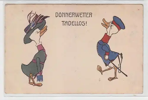 66246 Humor Ak "Météo du tonnerre impeccable!" couple de canards enfilés 1911
