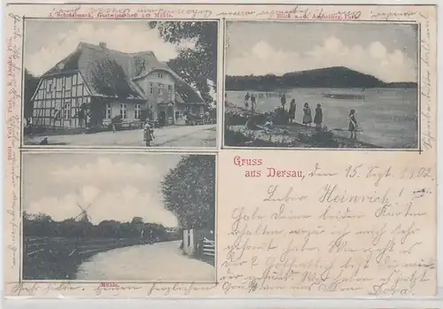 66225 Mehrbild Ak Gruß aus Dersau Gastwirtschaft zur Mühle, Windmühle 1902