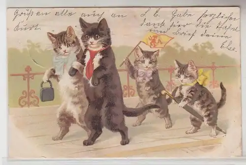 66162 Chats Humor Ak famille avec enfants à la promenade 1902