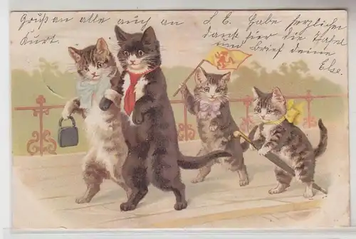 66162 Humor Ak Katzen Familie mit Kindern beim Spaziergang 1902