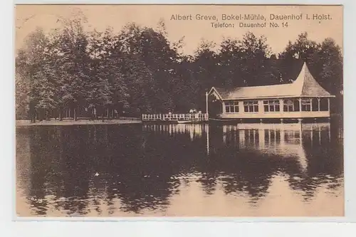 66018 Ak Dauenhof in Holstein Bokel Mühle Albert Greve 1925