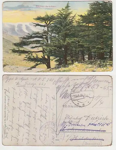 65971 Ak mit Feldpoststempel Türkei Deutsche Feldpost Damaskus 1918