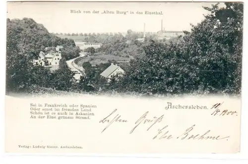 65448 Ak Aschersleben Blick von der "Alten Burg" in das Einethal 1900