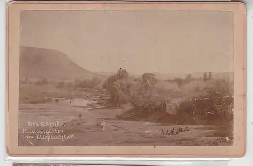 65025 seltenes Original Foto Südafrika Missionsgärten am Klipplaatfluß um 1890