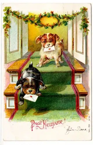 65008 Neujahrs Ak 2 Hunde mit Briefen im Maul 1904